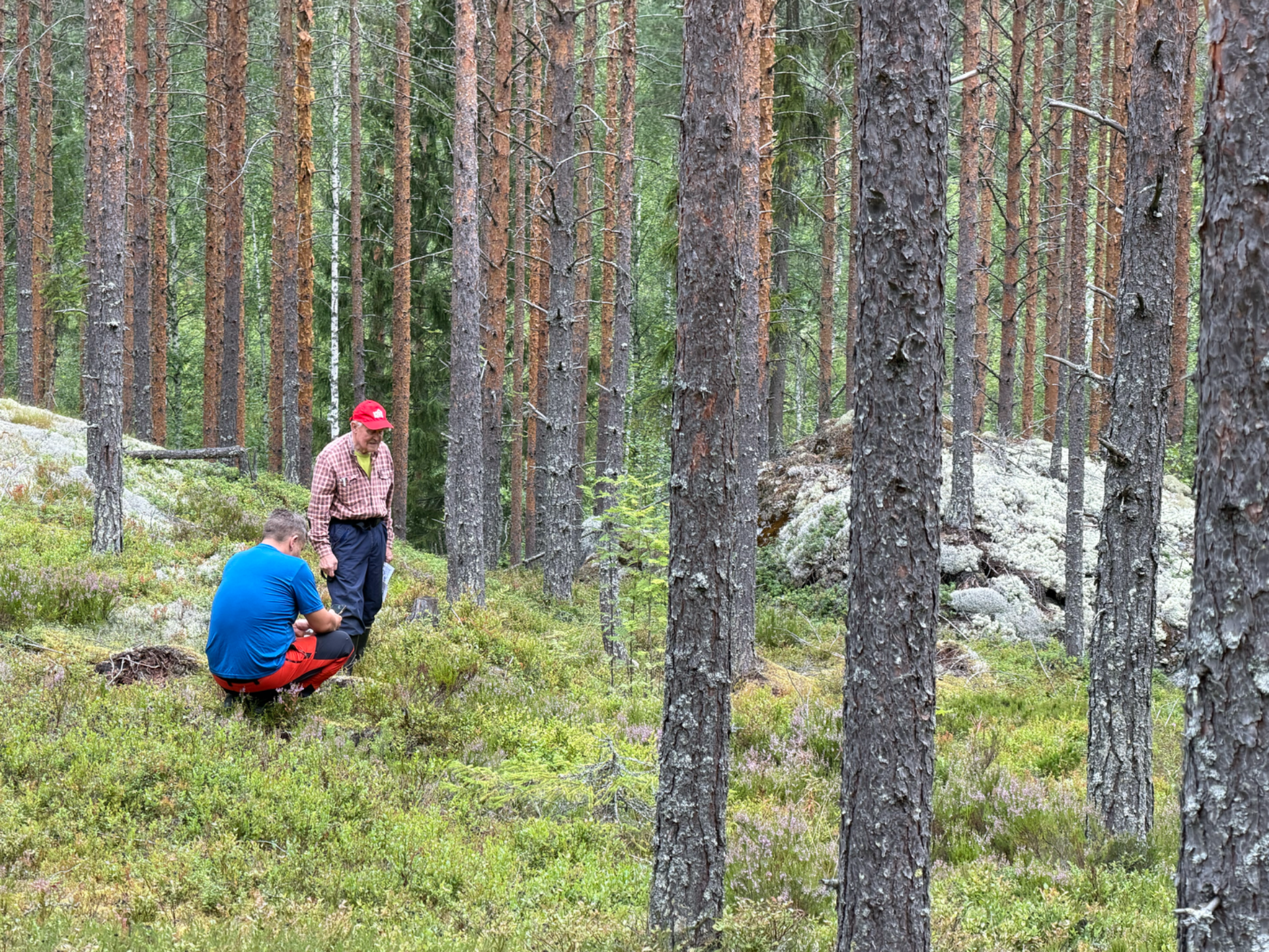 Riistakolmiolaskenta, juomatauko metsässä.